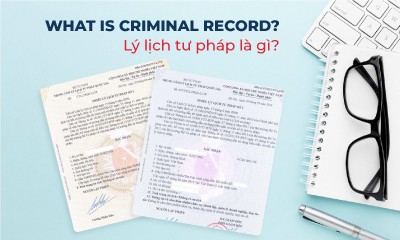 WHAT IS CRIMINAL RECORD?